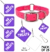 "No Treats" Alert Tag - Pack of 25 - Alert - No Treats