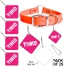 "Timid" Alert Tag - Pack of 25 - Alert - Timid